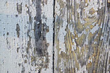Grea and white background of weathered painted wooden plank