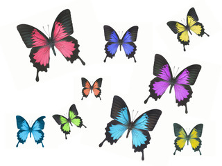 Naklejka na ściany i meble Butterflies isolated on white background