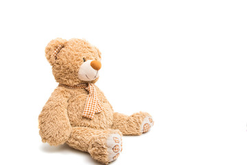 Big Bear soft toy isolated