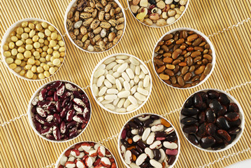 different kind of bean