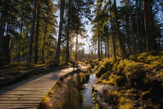 Colorful autumn in german mountains and forests