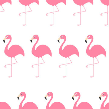 Seamless Pattern Flamingo Exotic tropical bird. Zoo animal collection. Cute cartoon character. Decoration element. White background. Isolated Flat design.