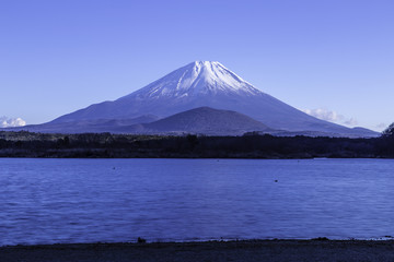 Fototapeta premium View of Mt. Fuji from Lake Shojiko