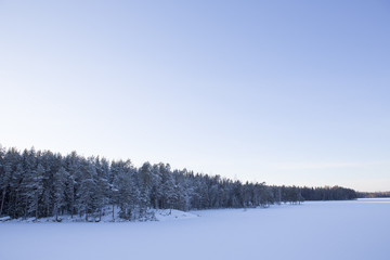 Cold winter morning. Sunrise. Copy space.