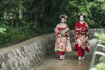 Fototapeta na wymiar Portrait of a Maiko geisha in Gion Kyoto