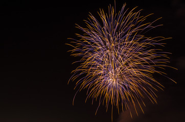 Firework Display and Night Sky