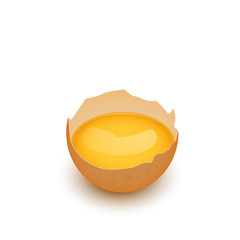 Broken egg shell with yolk, vector, isolated on white