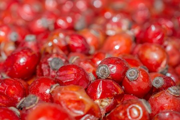 Lot of rosehips texture background