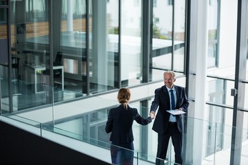 Businessman shaking hands with his colleague