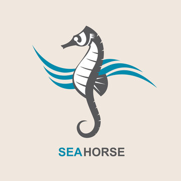 image of sea horse and ocean waves