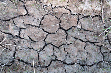 Cracked and barren ground,Dry soil textured background