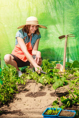 woman with gardening tool working in greenhouse