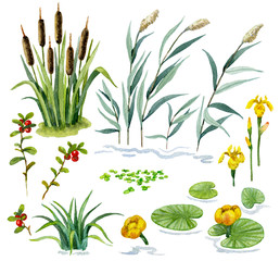 Wetland Set1