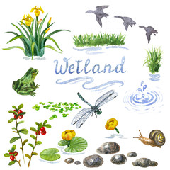 Wetland Set3 - obrazy, fototapety, plakaty