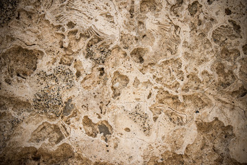Dirty, scratched old coquina wall