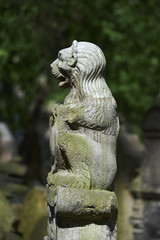 Lion herald on gravestone of Hendl Bassevi. Tombstones on Old Jewish Cemetery in the Jewish Quarter in Prague.
