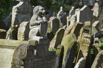 Fototapeta premium Tombstones on Old Jewish Cemetery in the Jewish Quarter in Prague.There are about 12000 tombstones presently visible