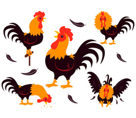 Vector Illustration of Set of Rooster Movements
