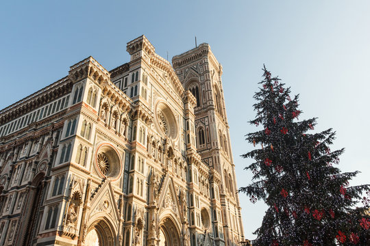 Florence Duomo And Christmas Tree.