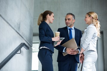 Business colleagues interacting with each other