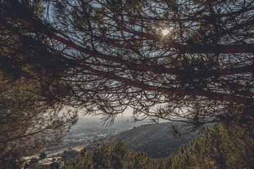 Panoramic mountain landscape in a city Barcelona. Europa, Barcelona, Spain. Old Building in Barcelona, Spain. Top view of the city. Barselona panorama