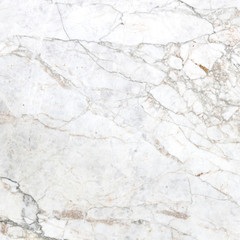 Obraz premium White marble texture abstract background pattern