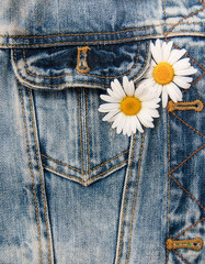 daisy in jeans pocket