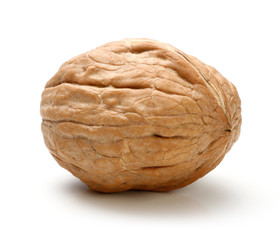Whole walnut isolated