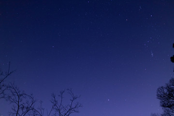 Fototapeta na wymiar 故郷の夜空のオリオン