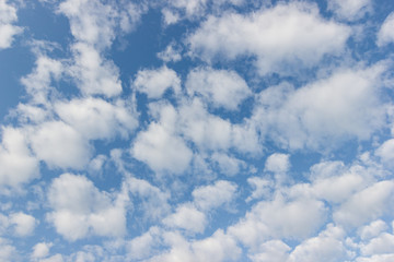 transparent sky  with clouds and atmospheric afternoon