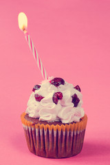 Birthday cupcake with candle