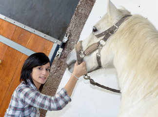  pretty young woman with white horse