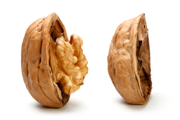 Half a piece of walnut.