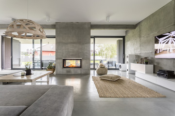 Spacious villa with cement wall - obrazy, fototapety, plakaty