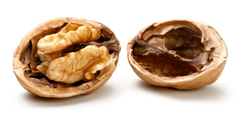 Half a piece of walnut.