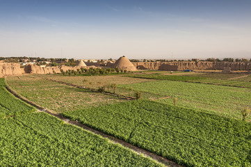 Iran, Kashan, 40 Dokhtaran Fortress: Green fields and agriculture inside the ancient fortress with...