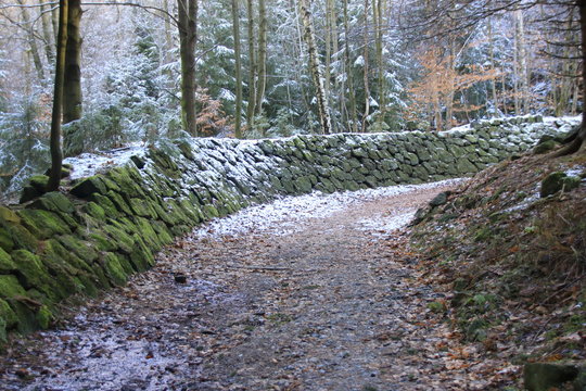 Gemauerte Kurven der historischen Bobbahn auf dem P&ouml;hlberg bei Annaberg-Buchholz 