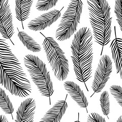  Seamless pattern with exotic black and white feathers