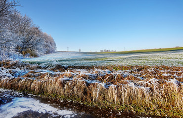 Countryside frozen field with ice trees and hoarfrost