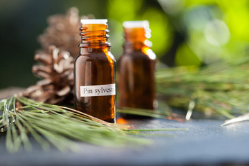 huile essentielle de pin sylvestre