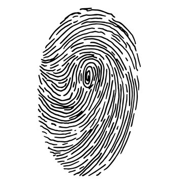 Vector fingerprint sketch. Hand drawn outline illustration with human finger print