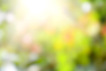 Blur nature bokeh background.