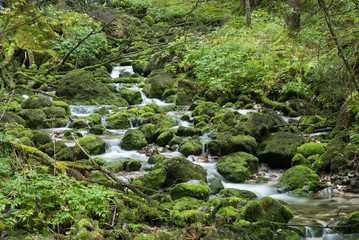 Bühlerbach im Salzkammergut