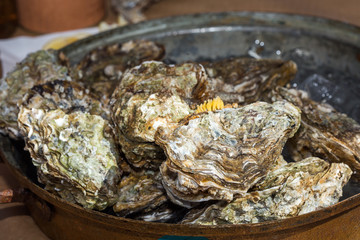 Fresh oysters