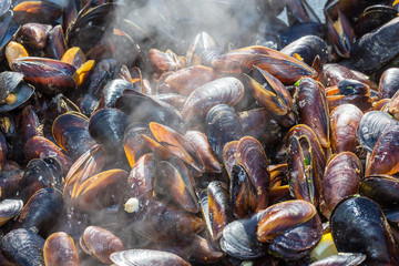 Blue mussel in the shells