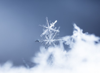 natural snowflakes on snow, photo real snowflakes during a snowfall, under natural conditions at...