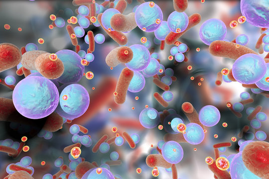 Biofilm of antibiotic resistant bacteria. Small red spheres are quorum sensing molecules used for bacterial communication inside biofilm. 3D illustration