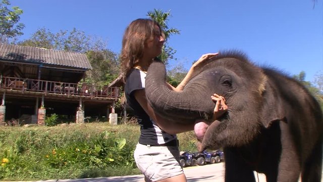 Дружба с забавным слоненком. Таиланд. Пхукет. 
