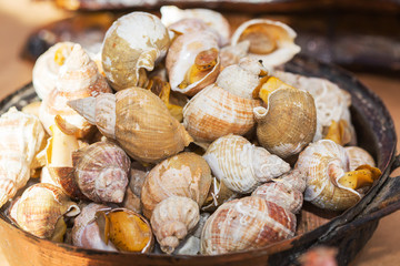 Cooked snails delicacy.