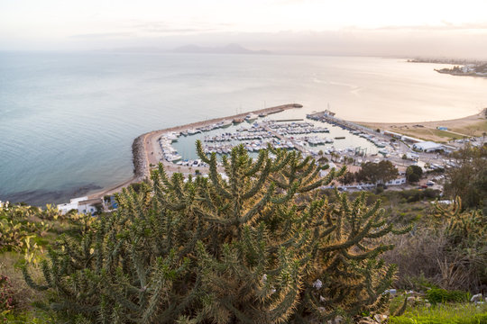 Evening view at the Port of Sidi Bou Said, famous touristic town near Tunis, Tunisian capital.North African Mediterranean coast.